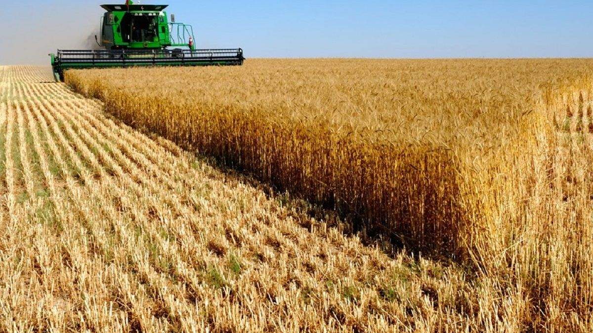 У крестьян настроение подавленное, – прогноз эксперта на урожай-2020