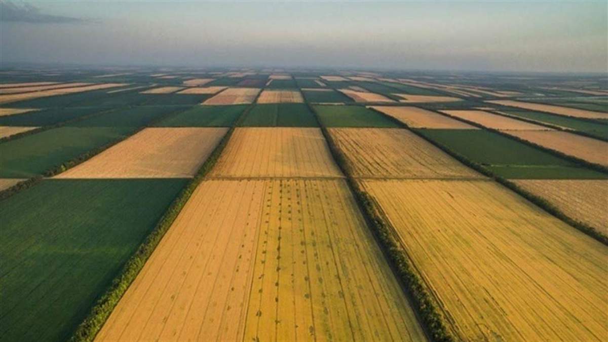 Плату за оренду землі можуть знизити Плату за оренду землі можуть знизити