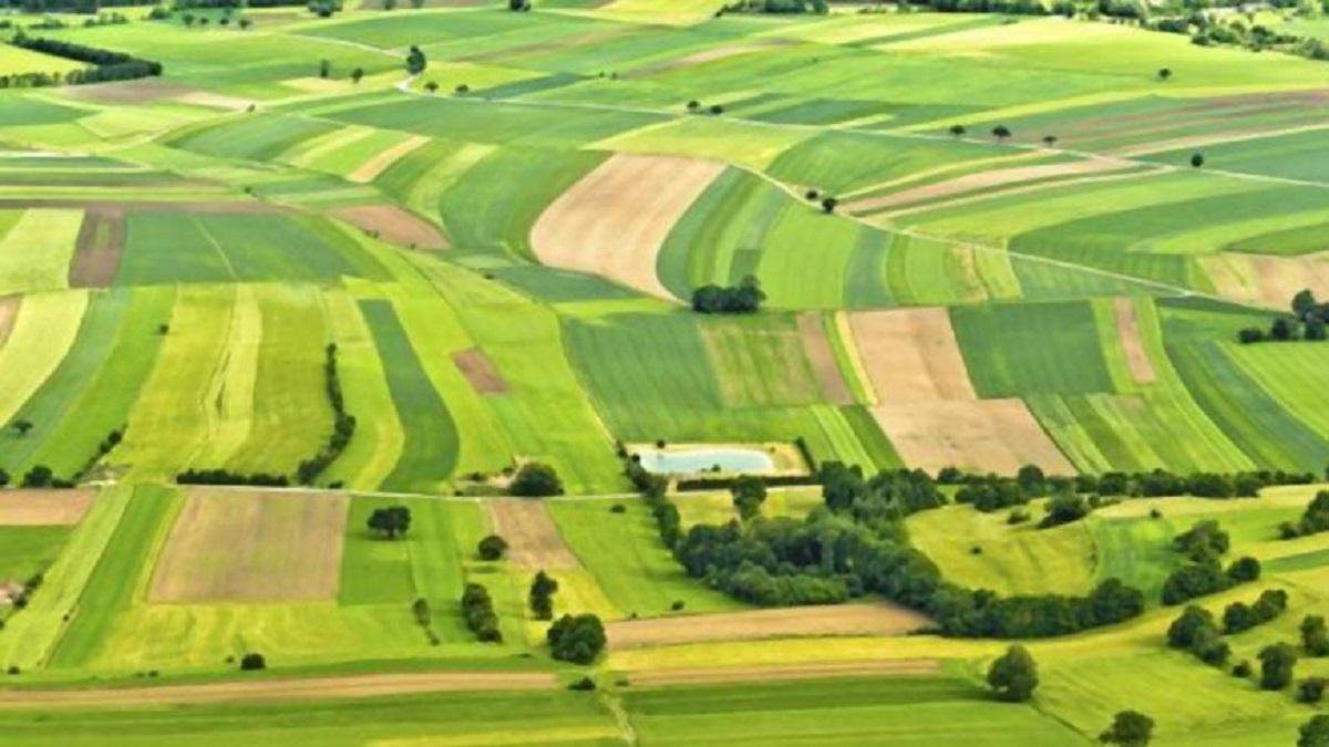 Земля в Україні Земля в Україні