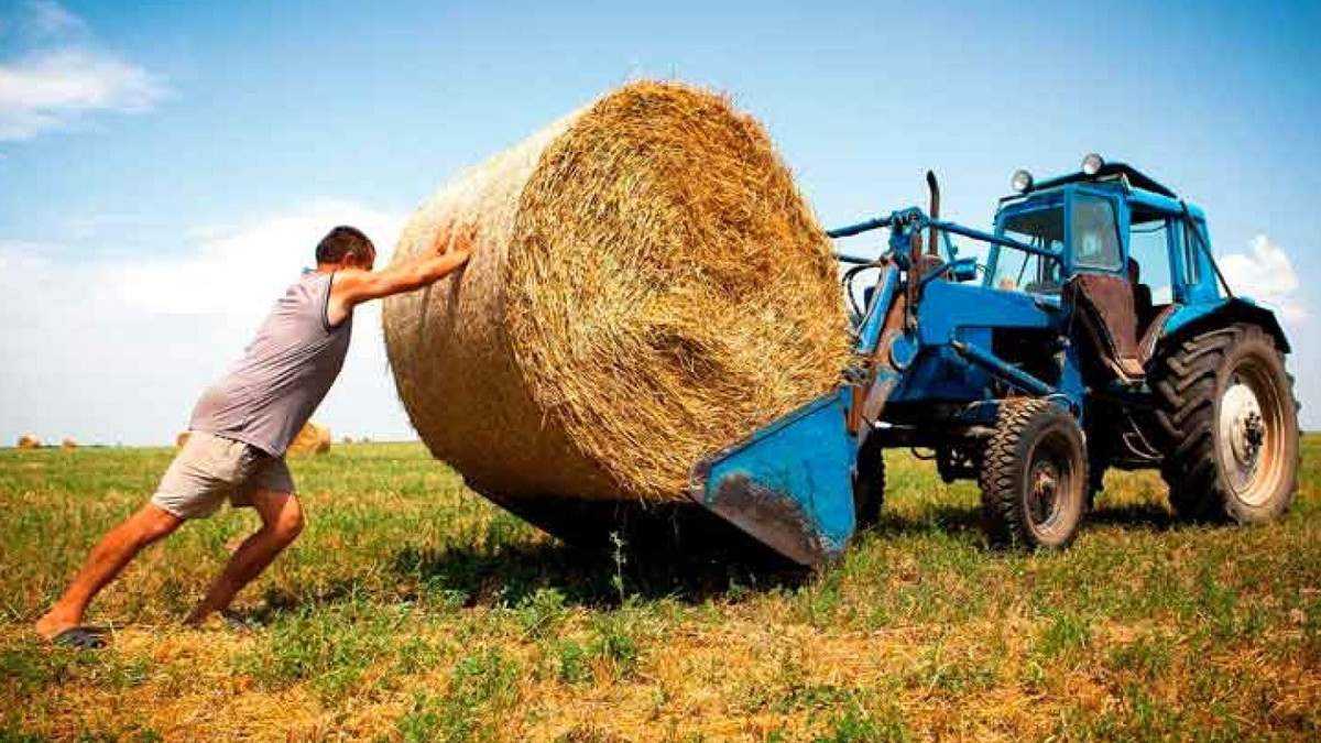 Украинские фермеры Украинские фермеры