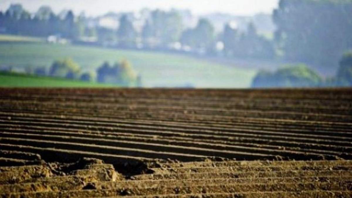 Попри мораторій в Україні приватизували 5 мільйонів гектарів землі / Ілюстративне фото з соцмереж Попри мораторій в Україні приватизували 5 мільйонів гектарів землі / Ілюстративне фото з соцмереж