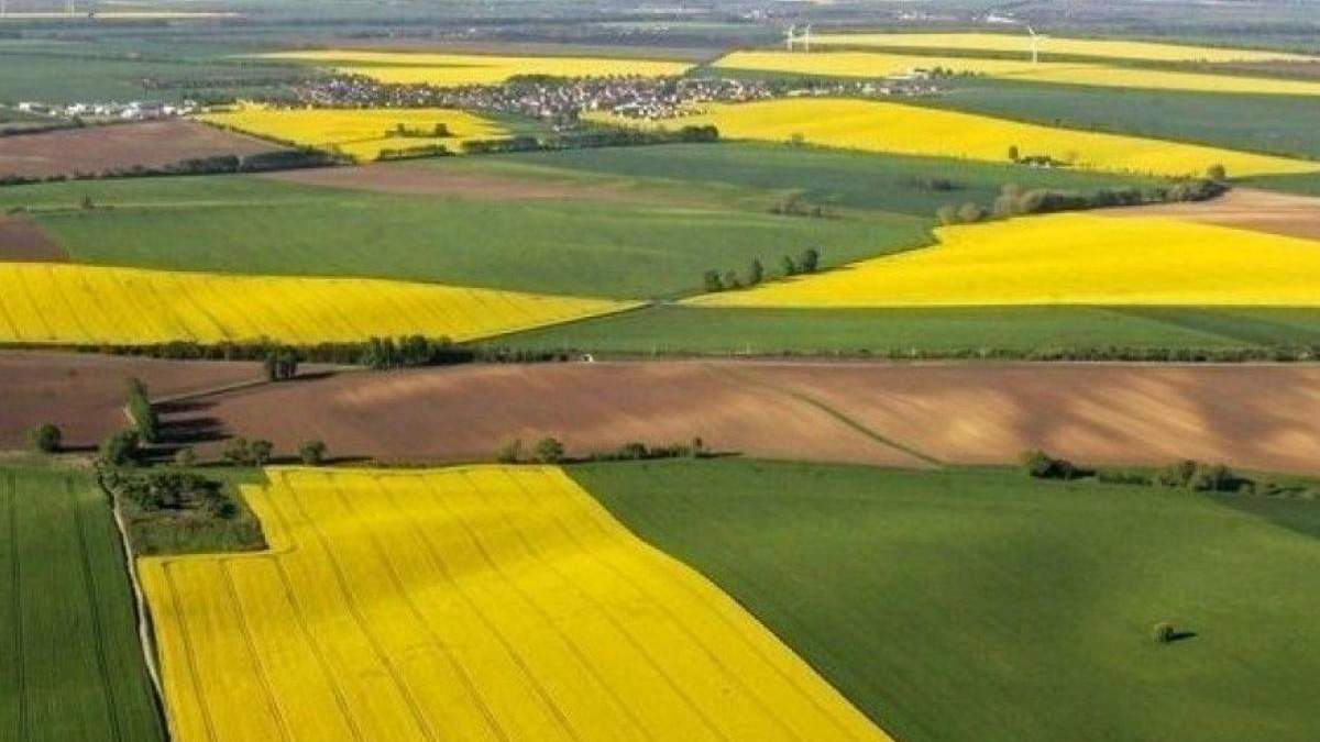 Эрозия распространяется: в Украине предлагают законсервировать часть земель Эрозия распространяется: в Украине предлагают законсервировать часть земель