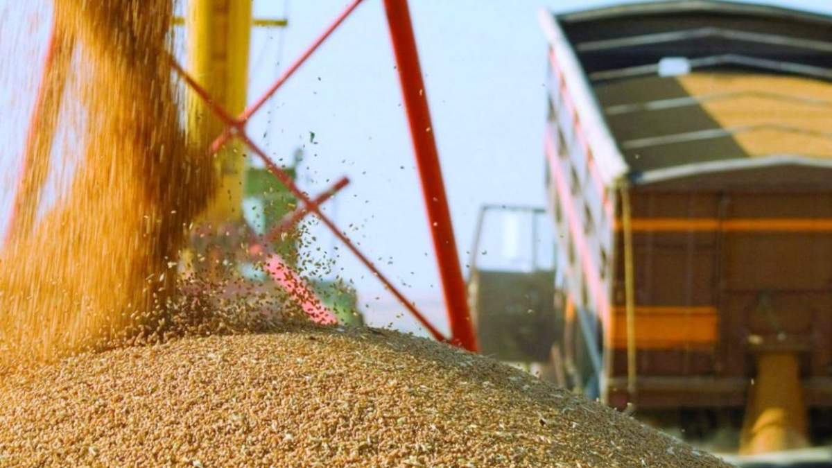 Экспорт продуктов в Великобританию: как вырос и что пользуется спросом Экспорт продуктов в Великобританию: как вырос и что пользуется спросом