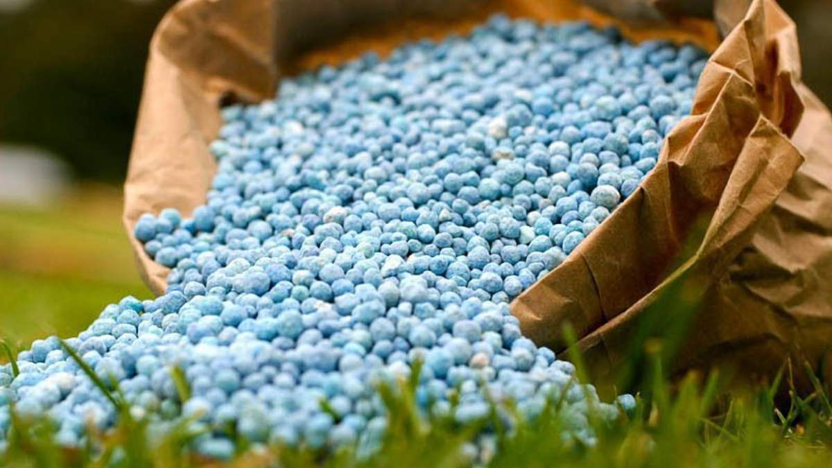 Ціни на добрива продовжать зростати Ціни на добрива продовжать зростати