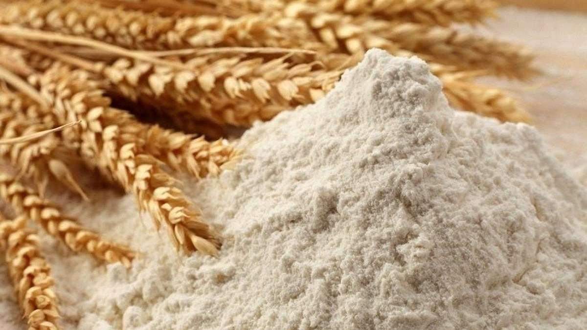 Експорт українського борошна: на скільки обвалився показник Експорт українського борошна: на скільки обвалився показник