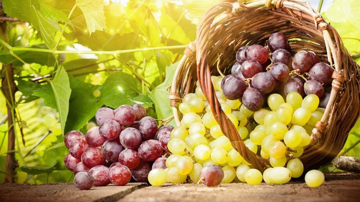 Експорт турецького винограду в Україну зростатиме Експорт турецького винограду в Україну зростатиме