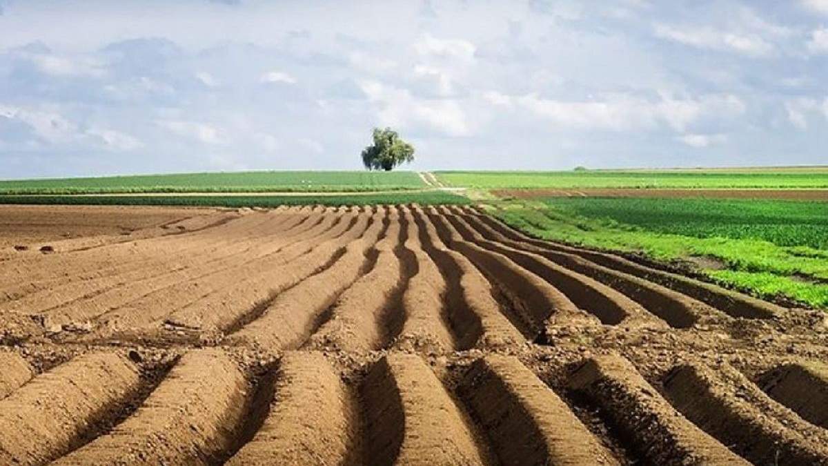 Земля в Украине Земля в Украине