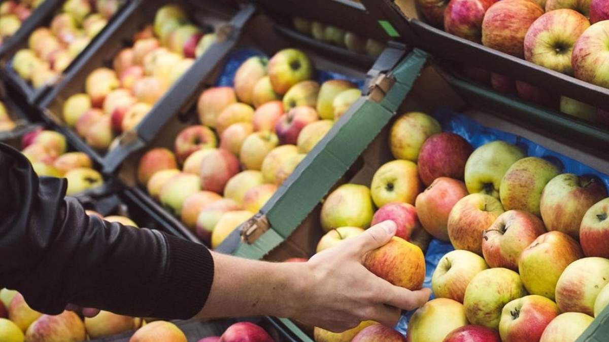 В магазинах появятся яблоки, которые хранят в специальных камерах В магазинах появятся яблоки, которые хранят в специальных камерах