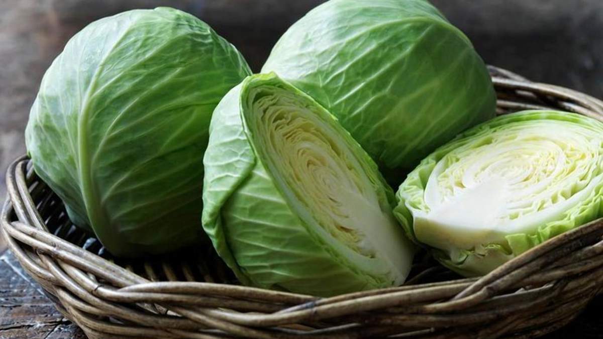 Ціна на капусту зросла через малу кількість та високу якість продукції / Фото з соцмереж Ціна на капусту зросла через малу кількість та високу якість продукції / Фото з соцмереж