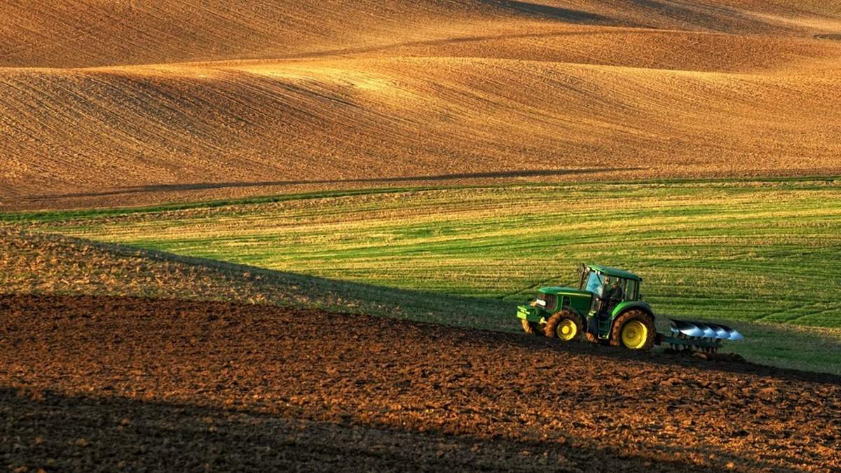 Незаконне заволодіння землею – одна з найбільших проблем в агросекторі / Фото з відкритих джерел Незаконне заволодіння землею – одна з найбільших проблем в агросекторі / Фото з відкритих джерел