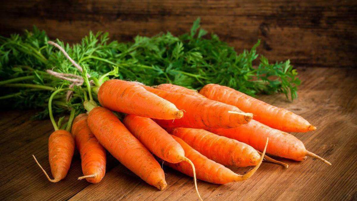 Сладкая морковь – уникальный продукт / Фото из соцсетей Сладкая морковь – уникальный продукт / Фото из соцсетей