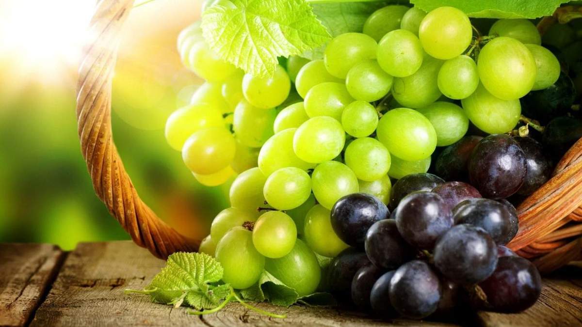 Якість добрив – один з головних факторів урожаю винограду / Фото з соцмереж Якість добрив – один з головних факторів урожаю винограду / Фото з соцмереж