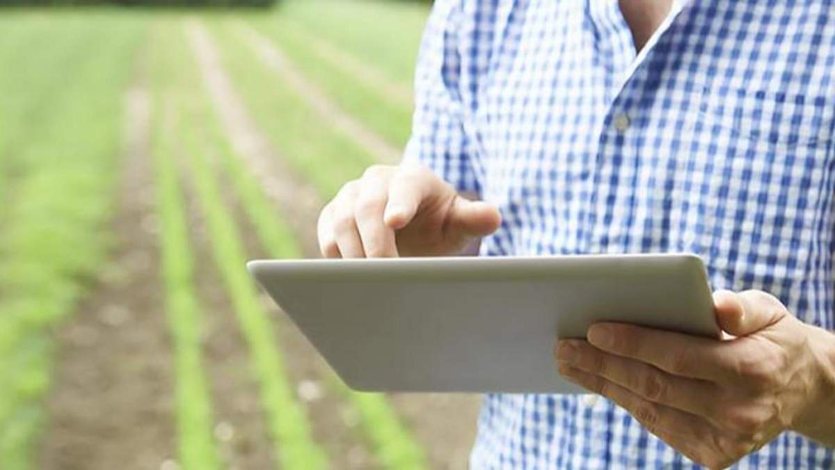 AgroPlanner - продукт Fitelio для аграриев / Фото из соцсетей AgroPlanner - продукт Fitelio для аграриев / Фото из соцсетей