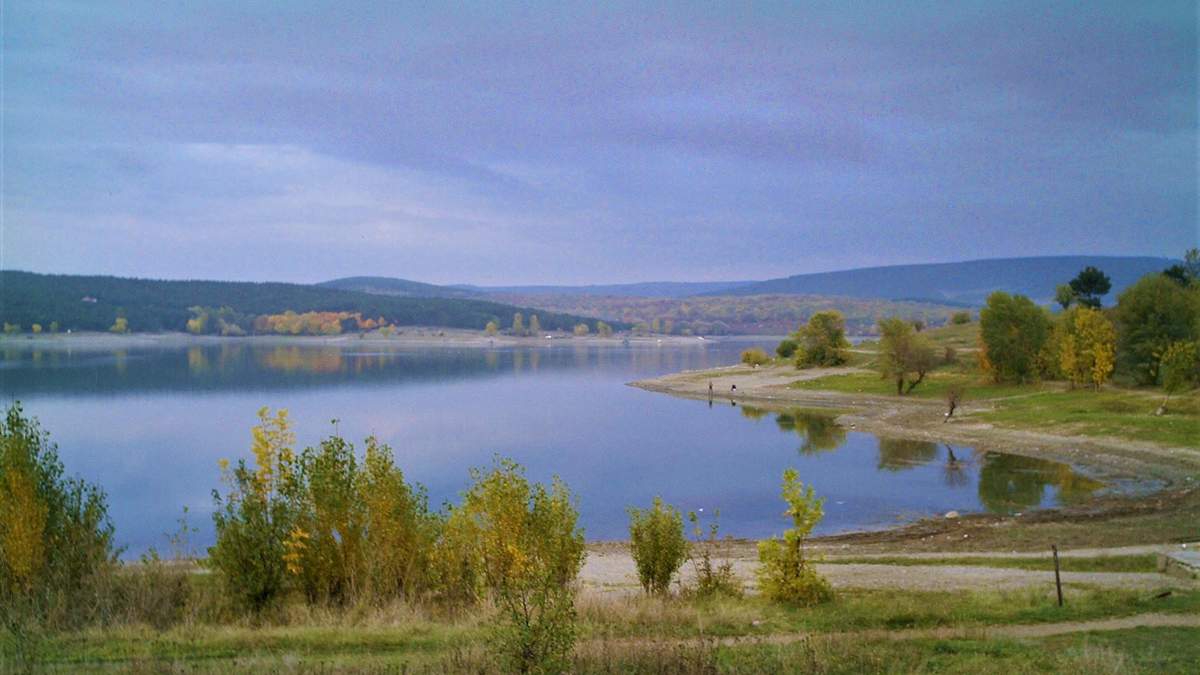 Вода Сімферополського водосховища непридатна до вживання / Фото з соцмереж Вода Сімферополського водосховища непридатна до вживання / Фото з соцмереж