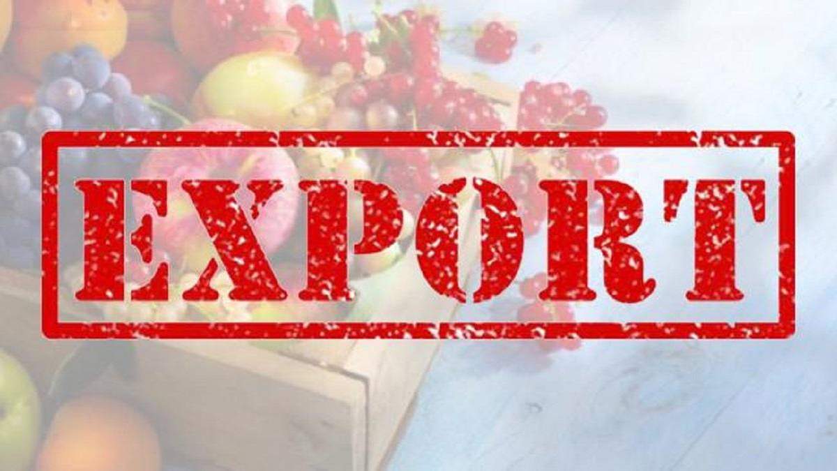 Експорт – важлива стаття доходів України Експорт – важлива стаття доходів України