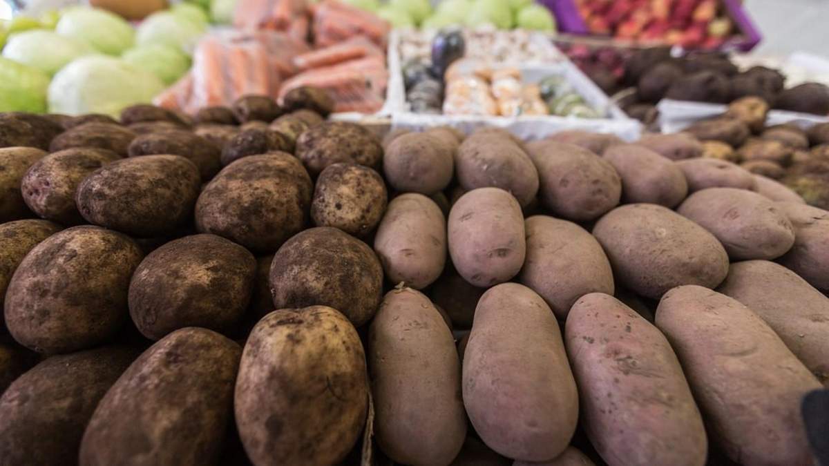 Украинские производители картофеля не могут обеспечить потребности рынка / Фото из соцсетей Украинские производители картофеля не могут обеспечить потребности рынка / Фото из соцсетей
