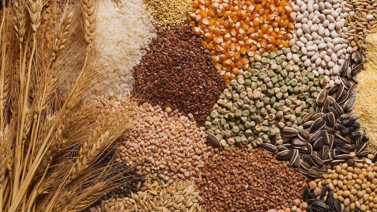 Продовольчі культури в Україні Продовольчі культури в Україні
