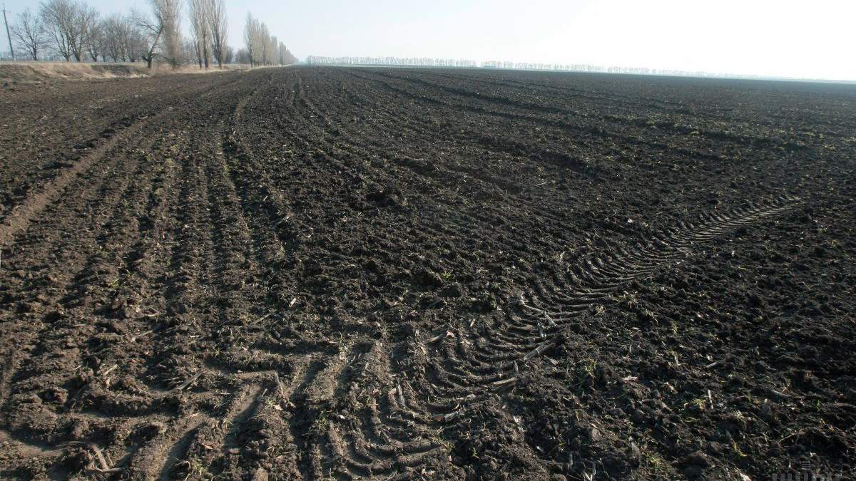Земельні ділянки Земельні ділянки