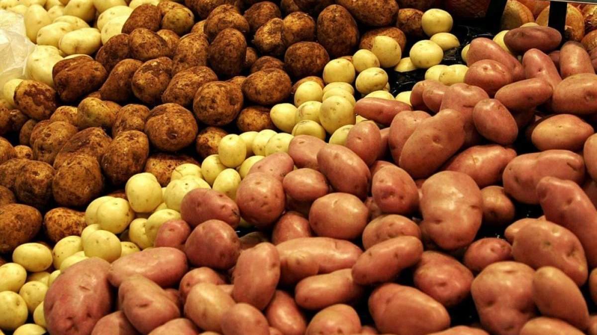 Імпорт картоплі в Україну за останні два роки виріс на фантастичні 2500% Імпорт картоплі в Україну за останні два роки виріс на фантастичні 2500%