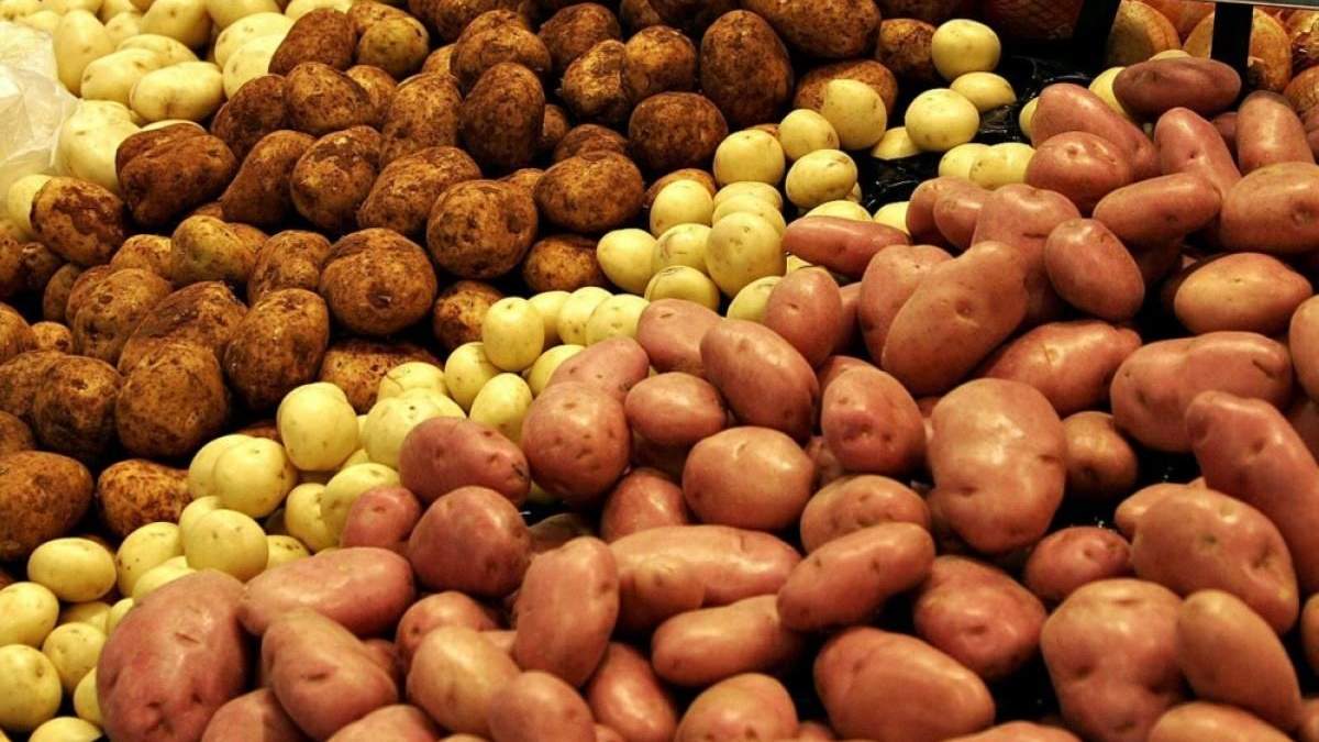 Импорт картофеля в Украину за последние два года вырос на фантастические 2500%