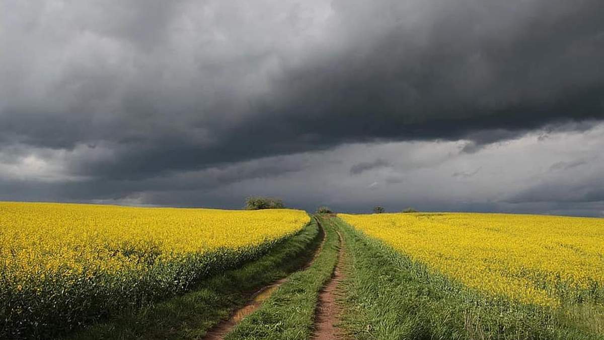 У цьому році весна буде аномальною / Фото з соцмереж У цьому році весна буде аномальною / Фото з соцмереж