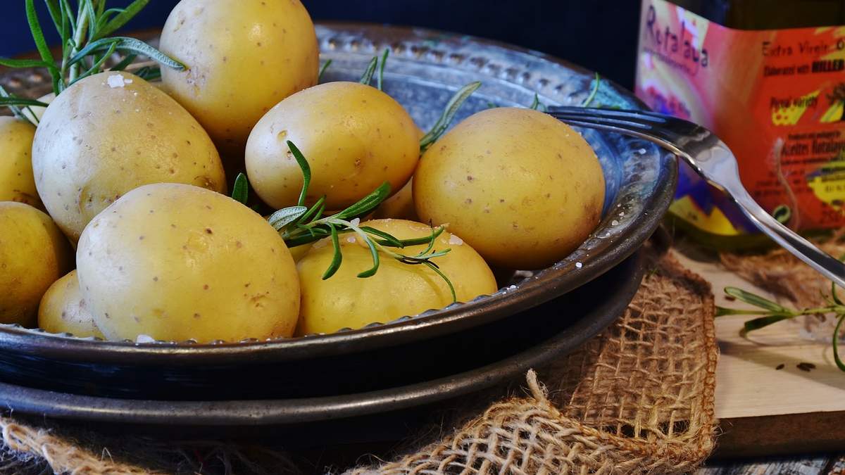 Українці стали споживати менше картоплі, залишаючись одним з найбільших виробників Українці стали споживати менше картоплі, залишаючись одним з найбільших виробників