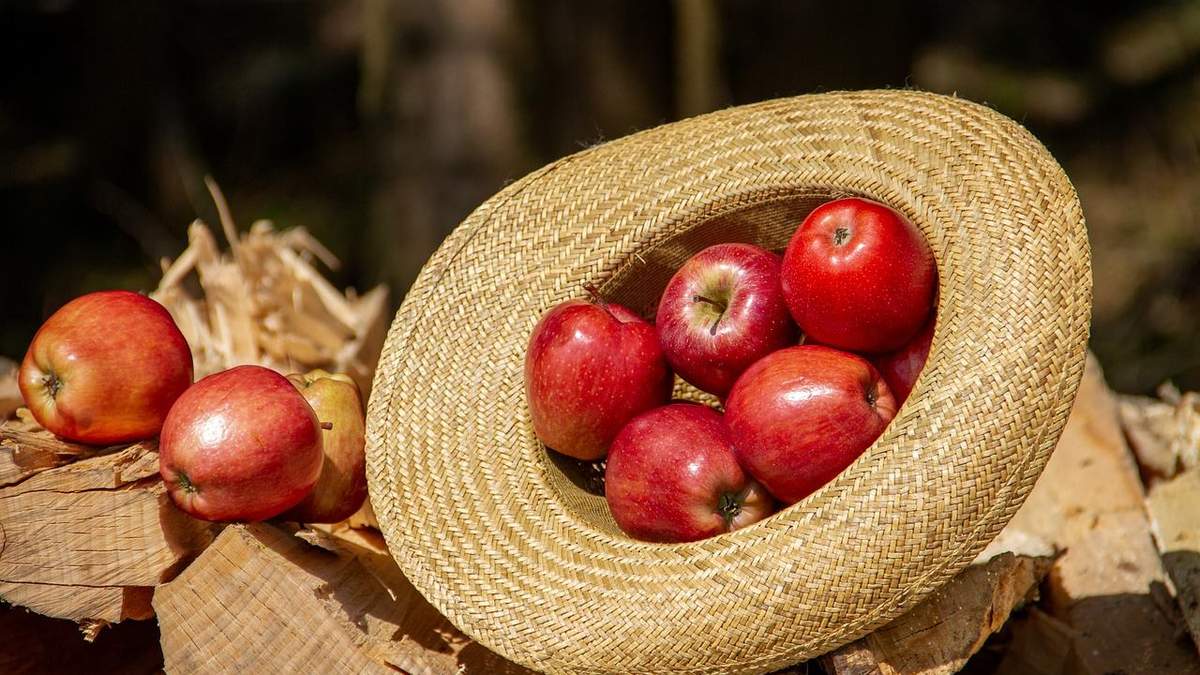 Яблоки снова дорожают Яблоки снова дорожают