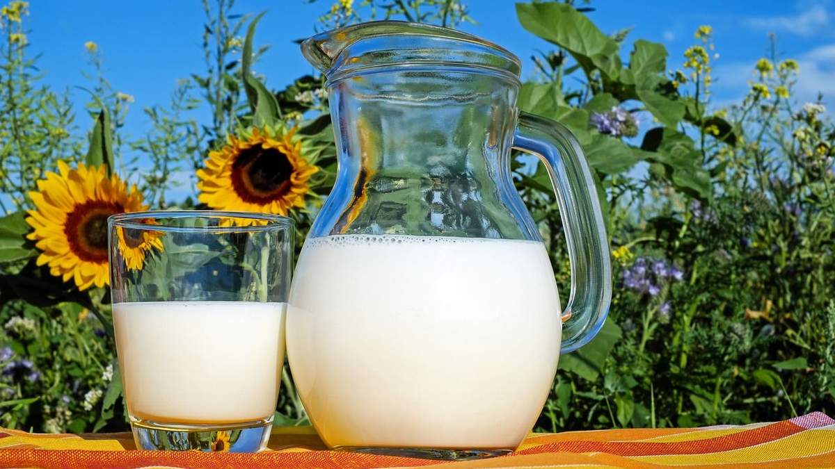 Українські молочні продукти експортуватимуть в Японію Українські молочні продукти експортуватимуть в Японію