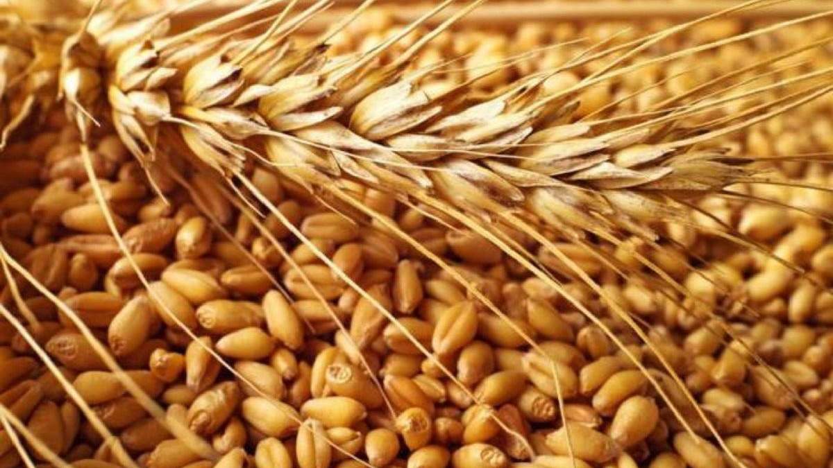 Зерно стало предметом афер
