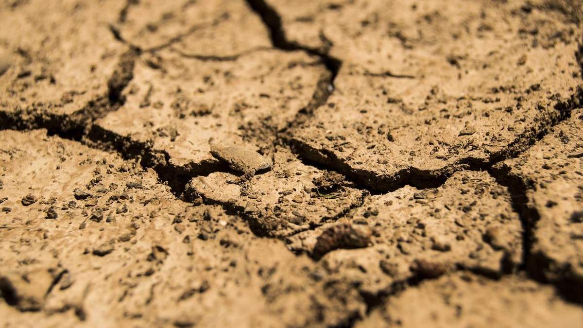Лето в Украине будет очень жаркое Лето в Украине будет очень жаркое