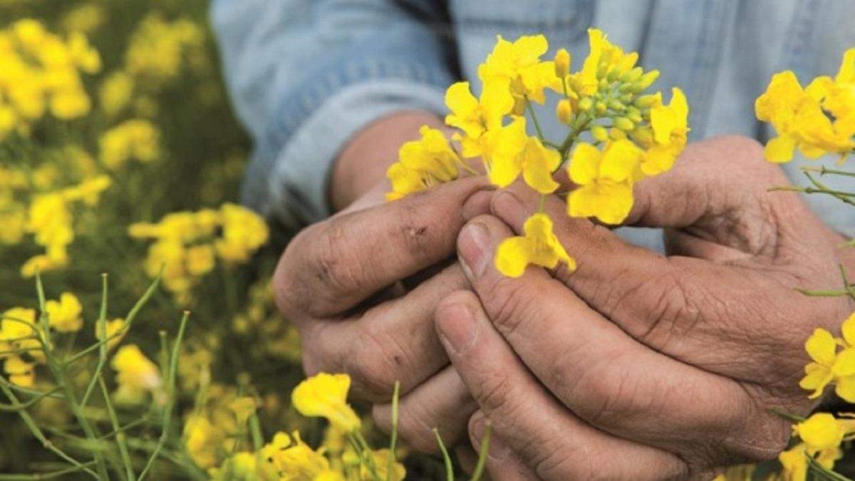 Посевная кампания 2021 в Украине Посевная кампания 2021 в Украине