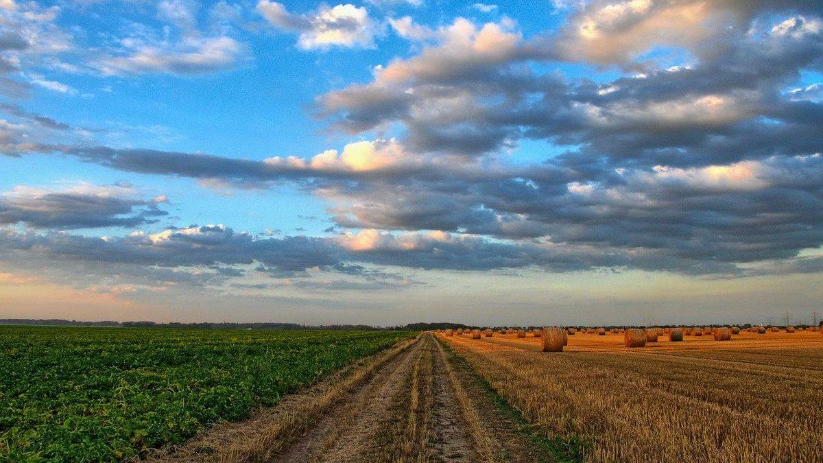 Земля в Украине Земля в Украине