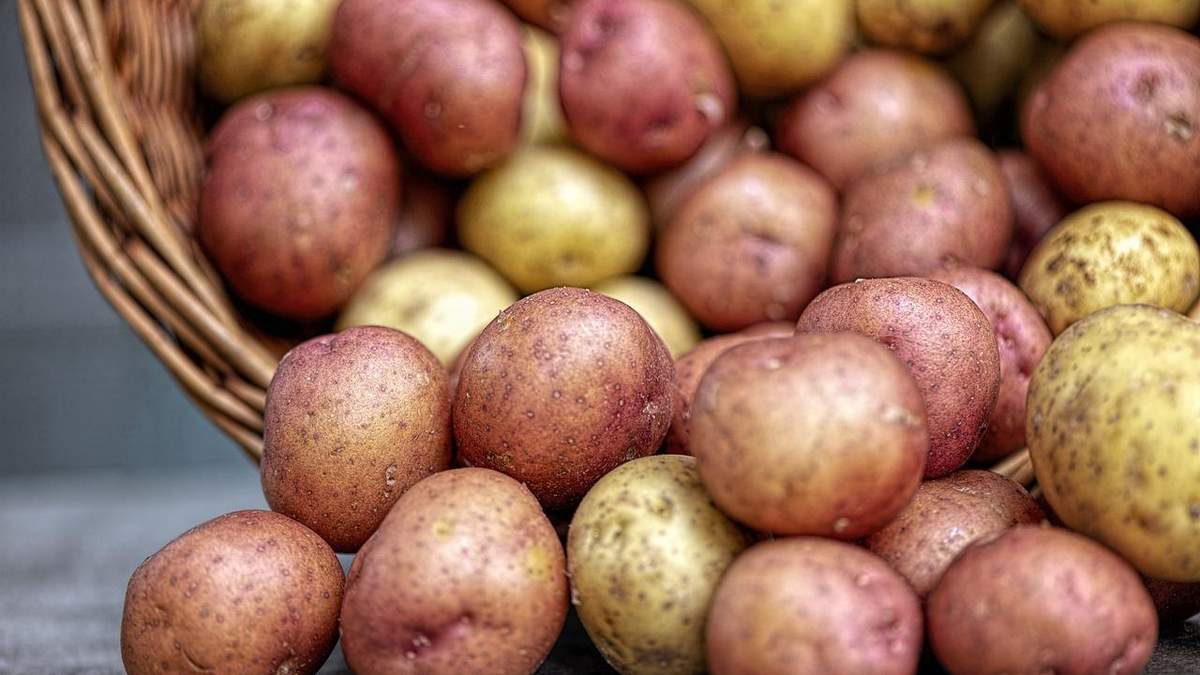 Картопля здивувала подешевшанням Картопля здивувала подешевшанням