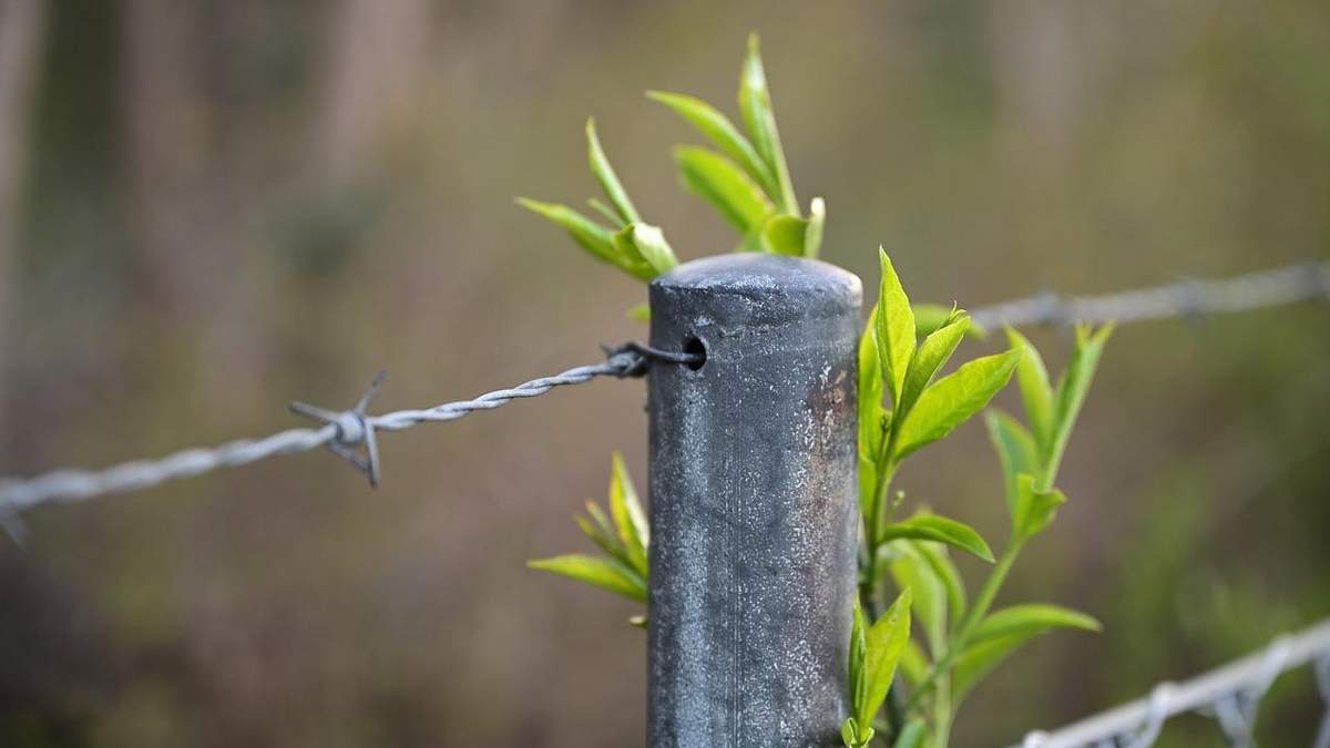 Російські товари заборонено Російські товари заборонено