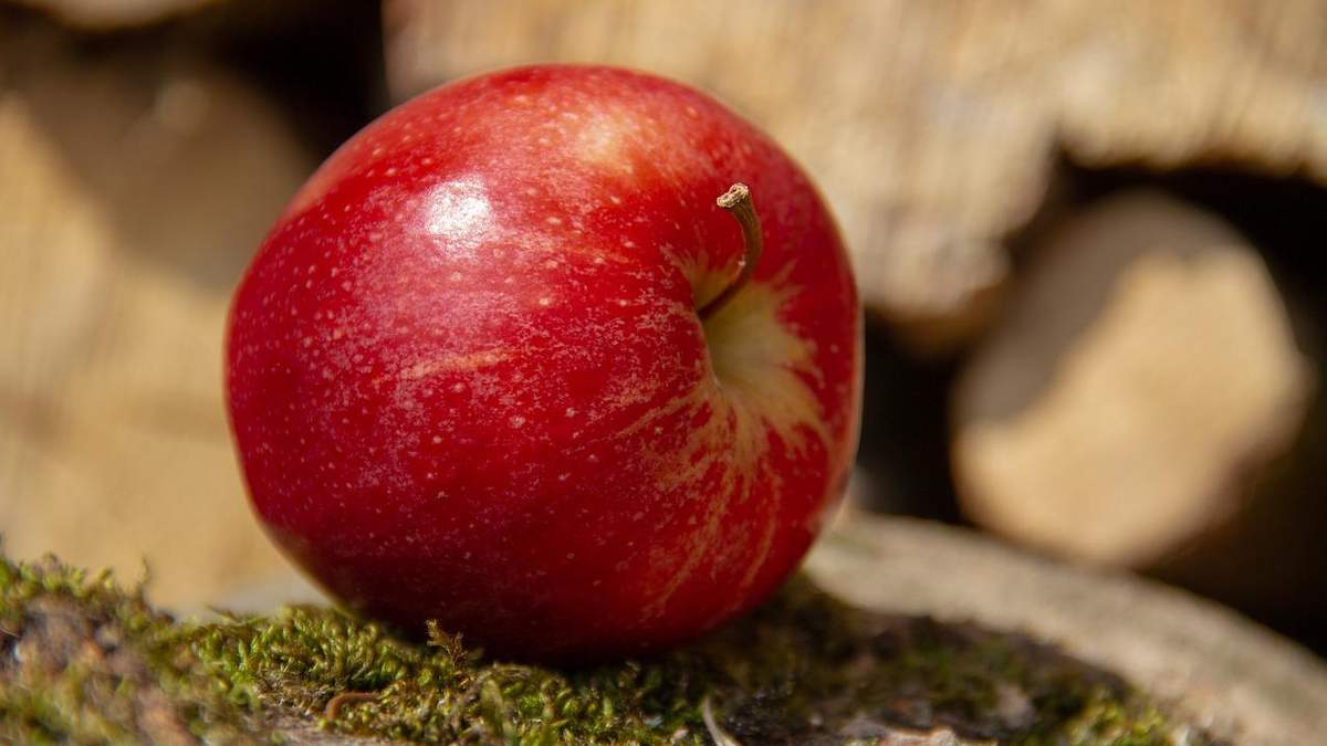 Найстійкіший до посухи сорт яблук: вердикт вчених