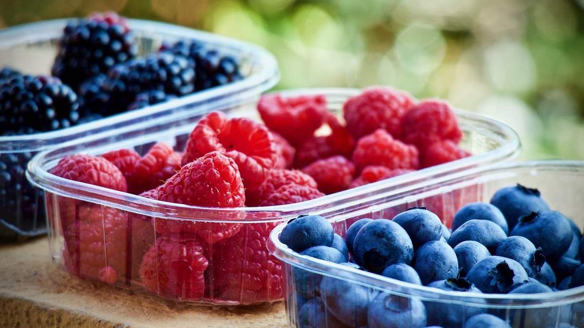 У Польщі мороз понищив ягоди та фрукти: втрати не такі значні, як про них говорять