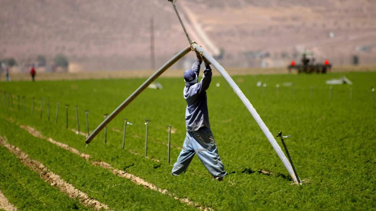 Білл Гейтс став найбільшим землевласником США