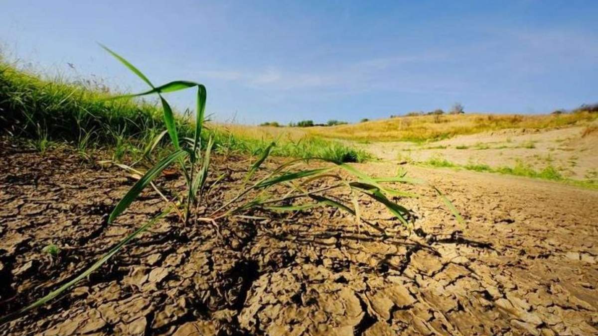 Десятки мільярдів гривень: які збитки несе Україна через деградацію ґрунтів - Агро