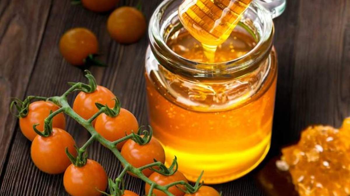 Помідори зі смаком меду: як вирощувати унікальний овоч - Агро