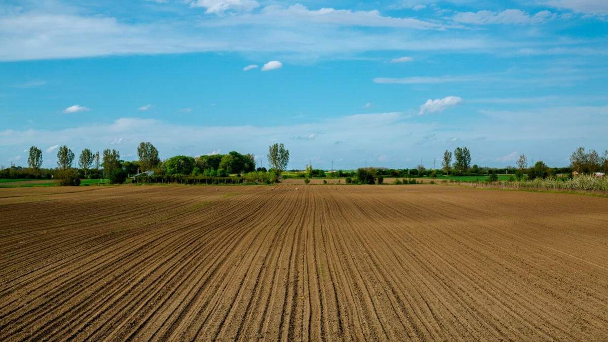 Рынок земли: для чего нужен кадастровый номер - Украина новости - Агро