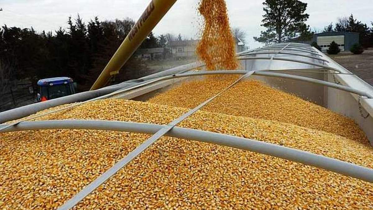 Україна відправила на експорт 30 мільйонів тонн зерна - Агро