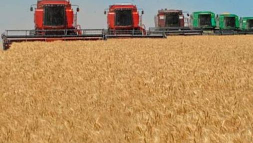 На мировой рынок зерна может выйти новый импортер