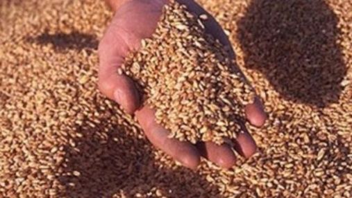 Эксперт: Украина экспортирует 22 миллиона тонн зерна
