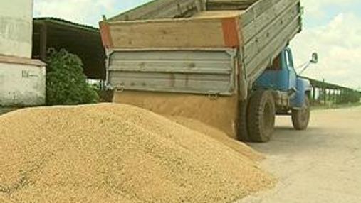 Экспорт зерна в июле установил антирекорд