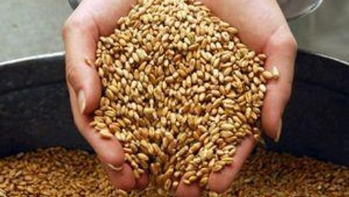 Украина предлагает ООН разместить на своей территории мировой резерв продовольственного зерна