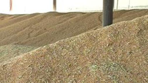 Україна майже зупинила експорт зернових через російський демпінг