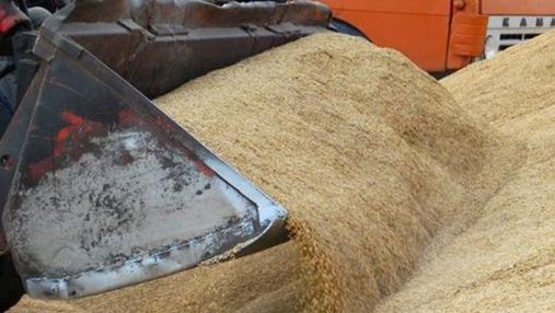 Загадковий "Хліб Інвестбуд" забезпечив третину експорту зерна