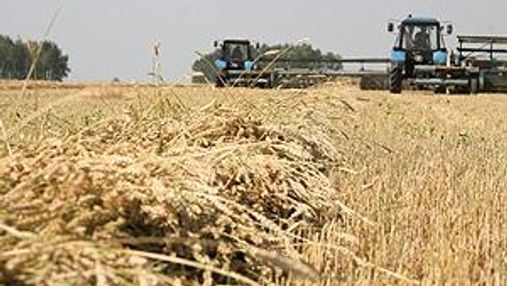Азаров: Хочемо довгостроковий контракт з Саудівською Аравією на експорт зерна