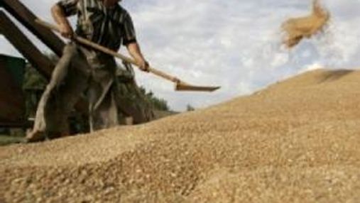 Україна хоче продати зерно Японії