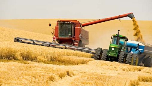 Клюєв: Україна цього року збере 52-53 мільйони тонн зерна